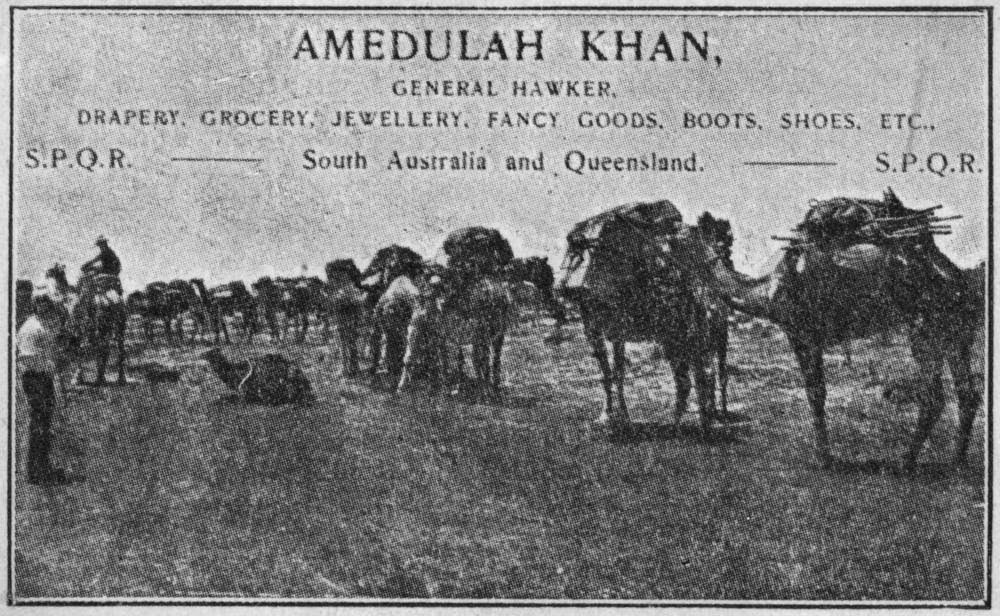 Camel train of the Afghan hawker, Amedulah Khan, 1901