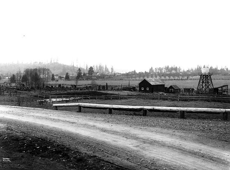 Farmland and road near Bellevue, 1915