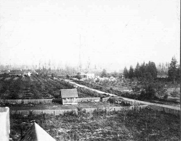 Houses and farms, Bellevue, 1900
