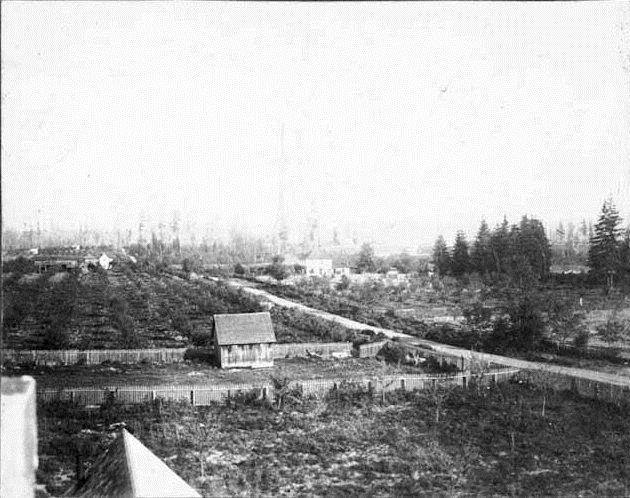 Viewing north, the road would later become Bellevue Way at about where Bel Square stands today, 1900