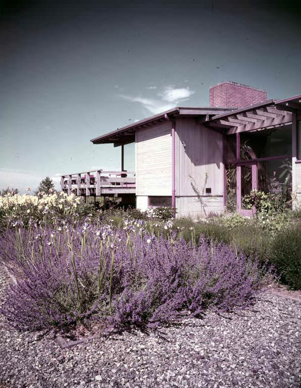 Walter F. Isaacs house, exterior view of garden, Hilltop, Bellevue, Washington, 1953