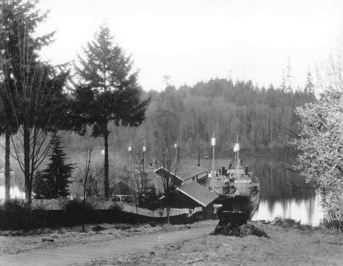 Whaleboats at Bellevue, 1920