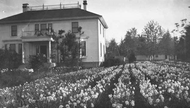 Baker house flower garden, Bellevue, 1912