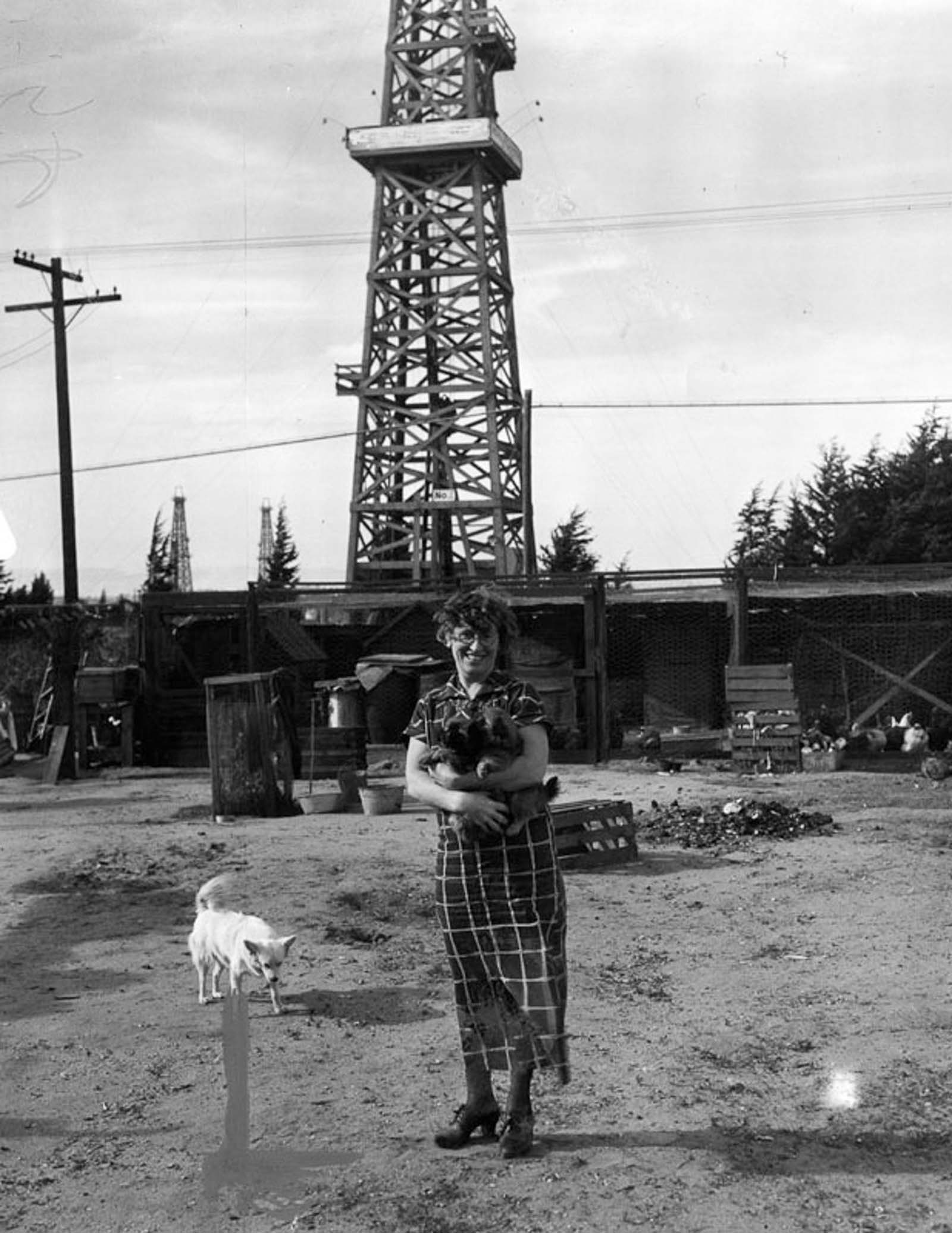 Mrs. W. B. Stoddard stands with her dogs in the yard of her home near the George K. Linderman well in Redondo Beach, 1936