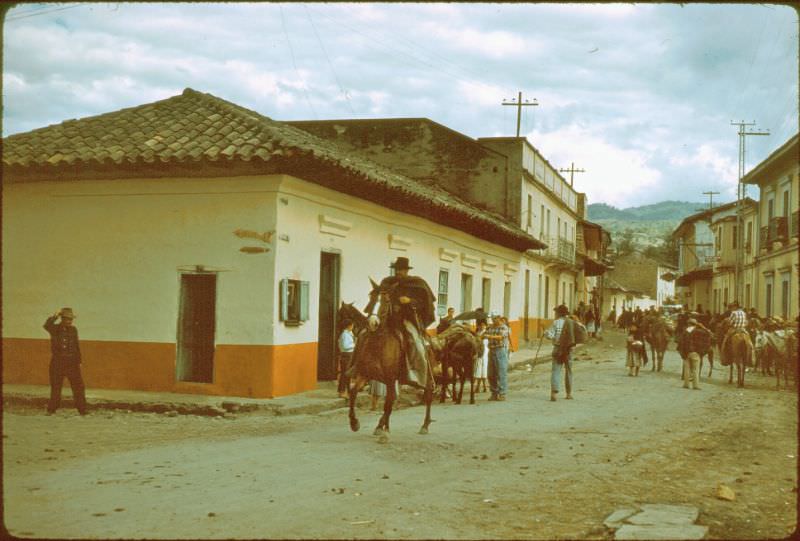 Gypsy King prancing down main street of Moniquira, Colombia