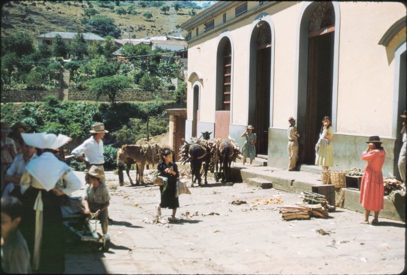 San Gil wood market. Fuel one of big problems in the Andes, Colombia