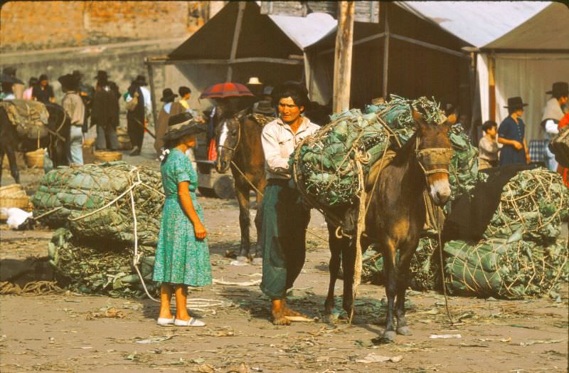 Cabbage, rice, beans, corn meal. Some people wearing patched patches for clothing, Colombia