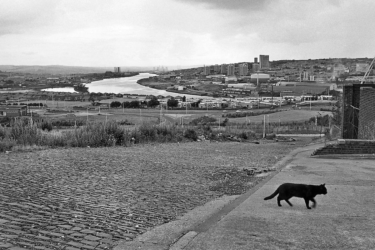 View of the Tyne from the site of Gordon Street in 1984. The black cat was a bonus!