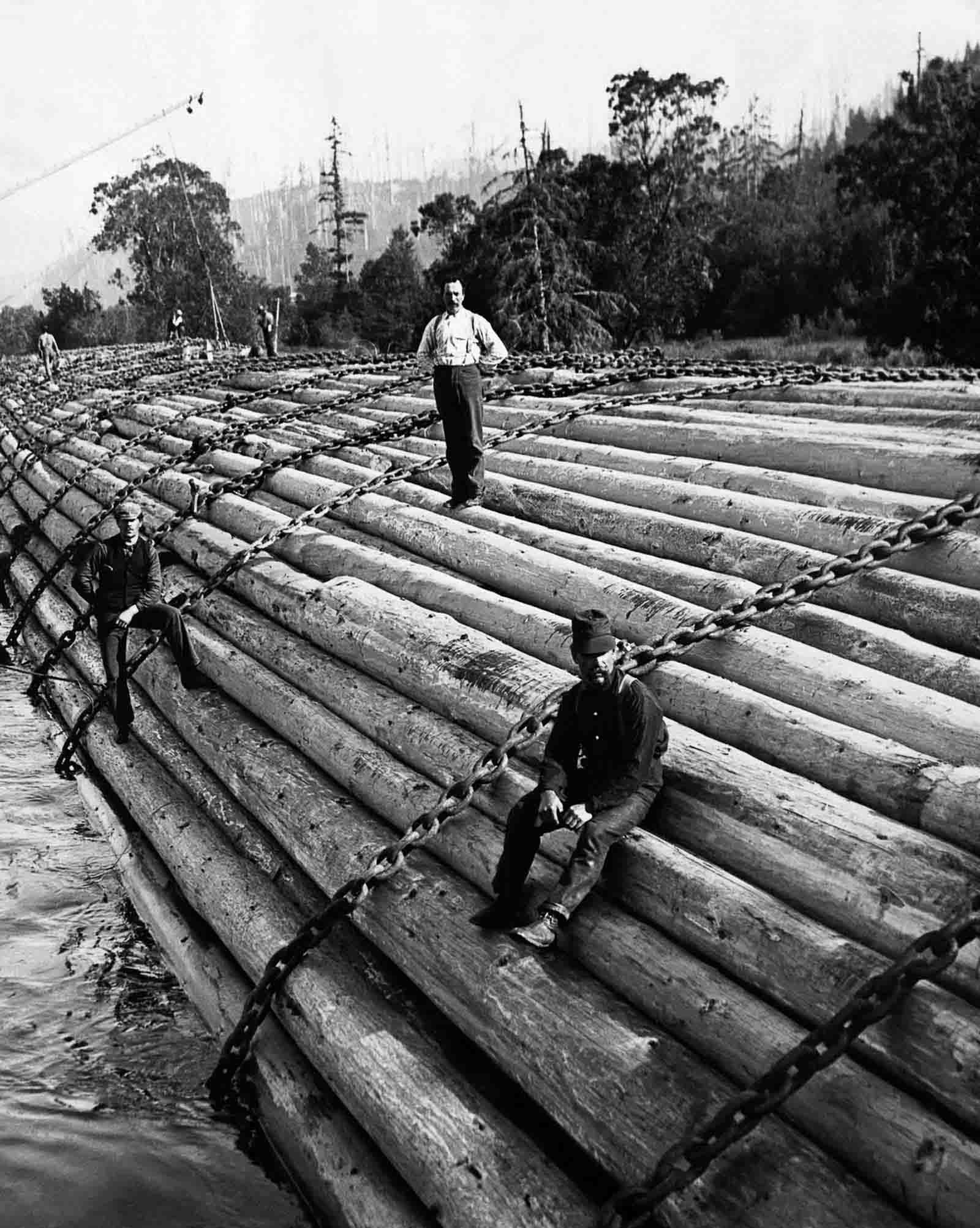 Lumberjacks float lumber down the Columbia River in Oregon, 1910.