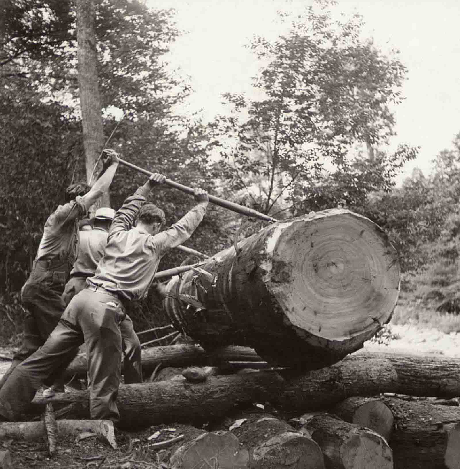 A group in the 1930s moves a log into a river in West Virginia
