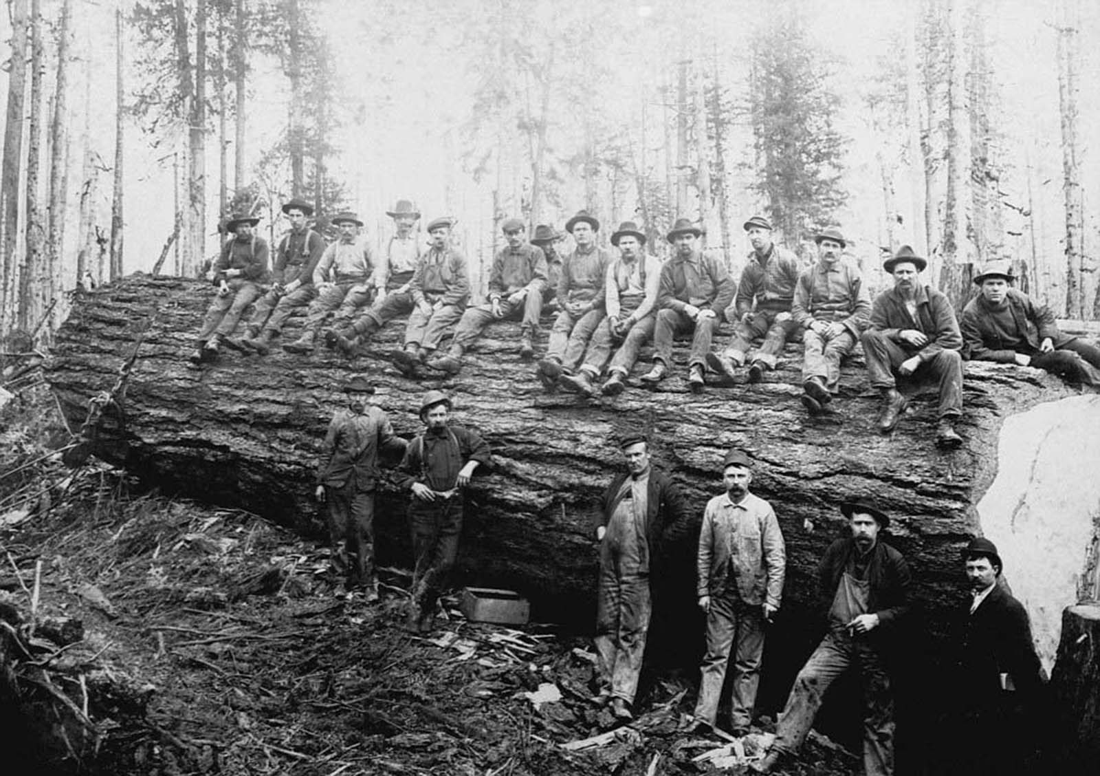 The lumberjacks would often leave their families and live in camps where hundreds of their fellow workers relaxed between grueling shifts.