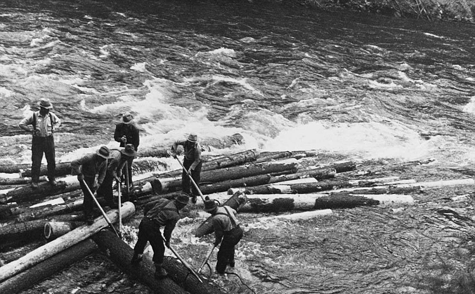 Lumberjacks in Idaho clear a jam in the 1930s.