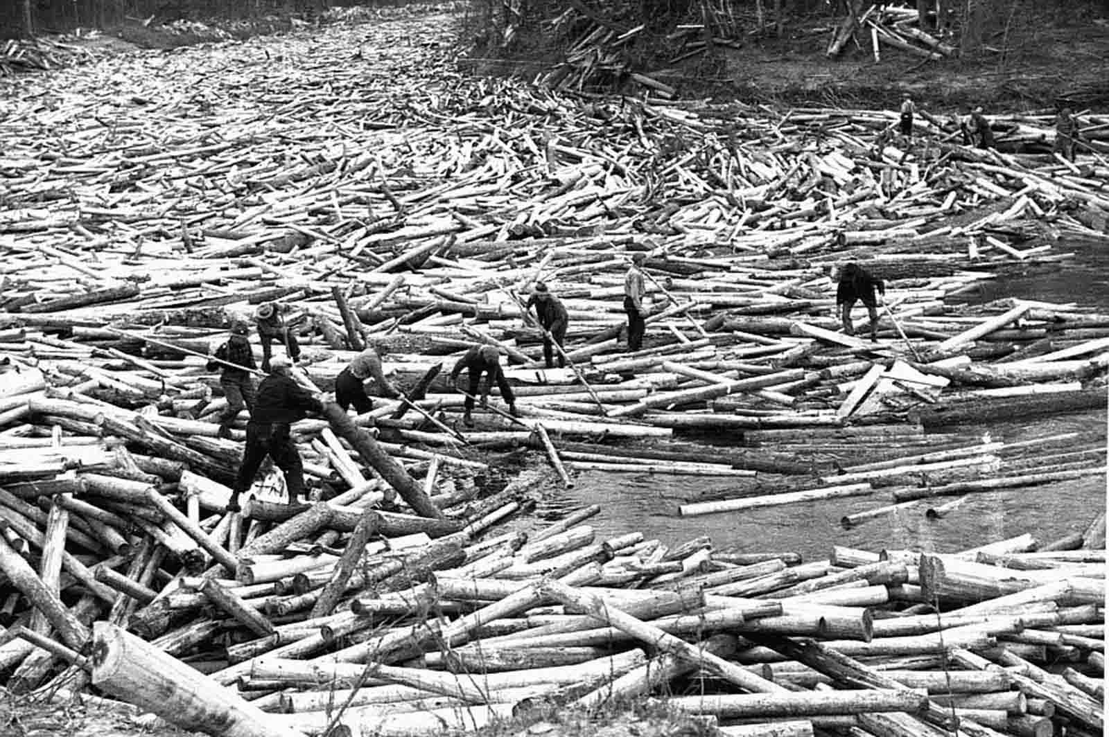 Several log rollers in the 1930s break up a log jam on the Little Fork River during the last log drive on that river in Koochiching County, Minnesota