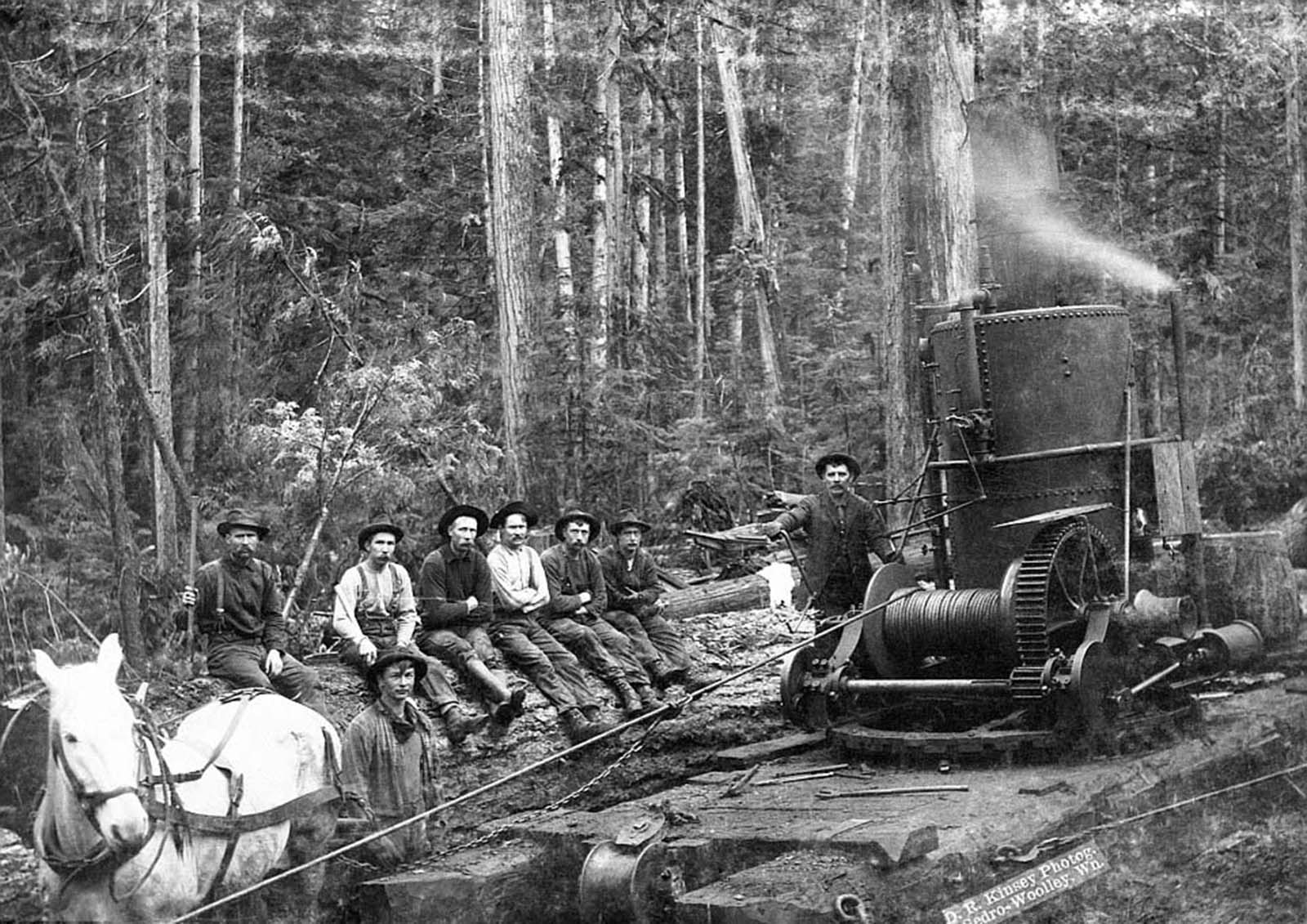 A crew in 1900 Washington state poses next to a donkey engine used for yarding logs, or gathering logs together after they are cut.