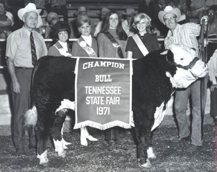 Champion Bull at the Tennessee State Fair, Nashville, Tennessee, 1971