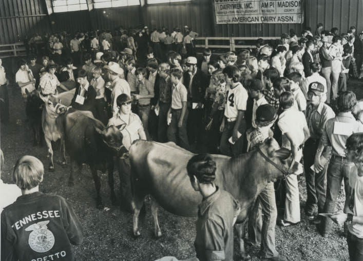 Dairy cattle exhibitors at the Tennessee State Fair, Nashville, Tennessee, 1974