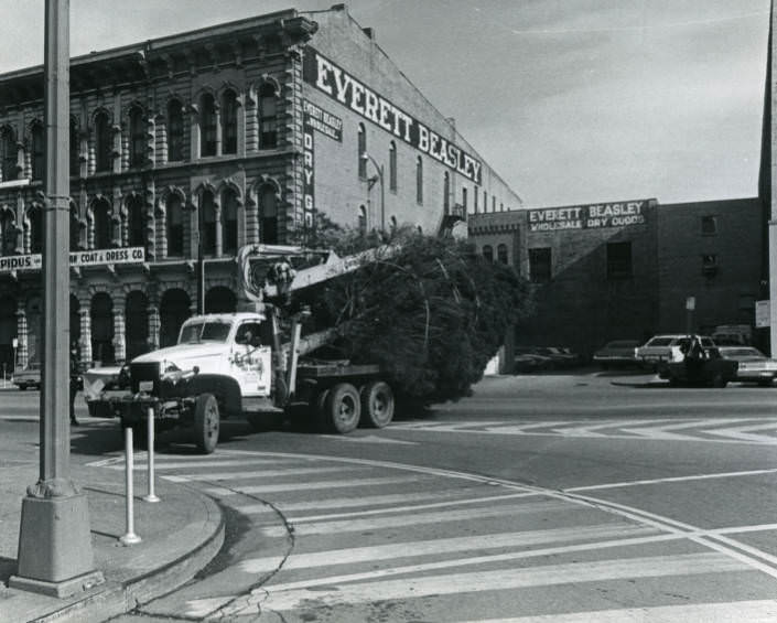 Installation of Christmas tree at the Davidson County Courthouse, Nashville, Tennessee, 1973
