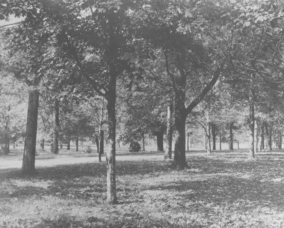 Belle Meade Mansion front lawn, 1940s