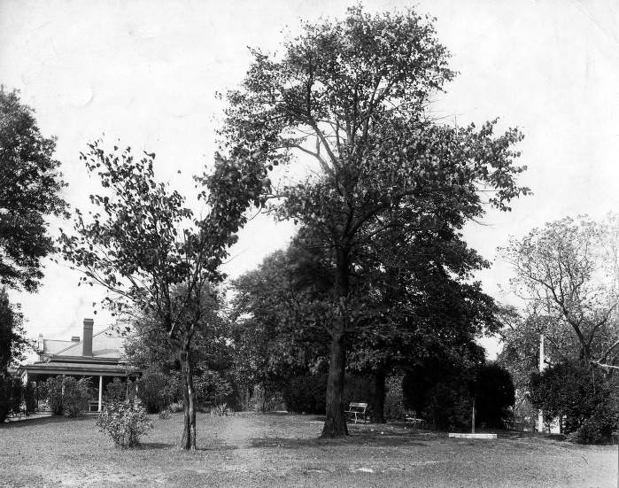 Morgan Park, Nashville, 1920s