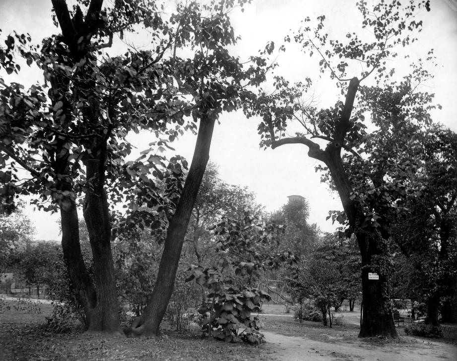 Dudley Park, Nashville, Tennessee, 1920s