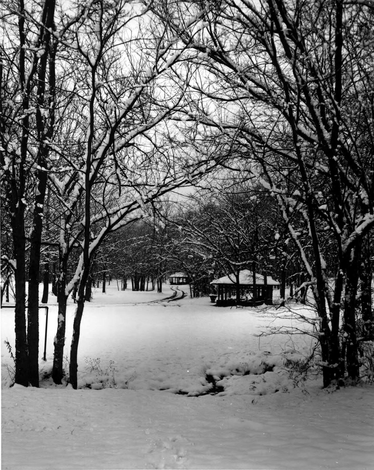 Percy Warner Park in Nashville, Tennessee after a snowfall, 1960
