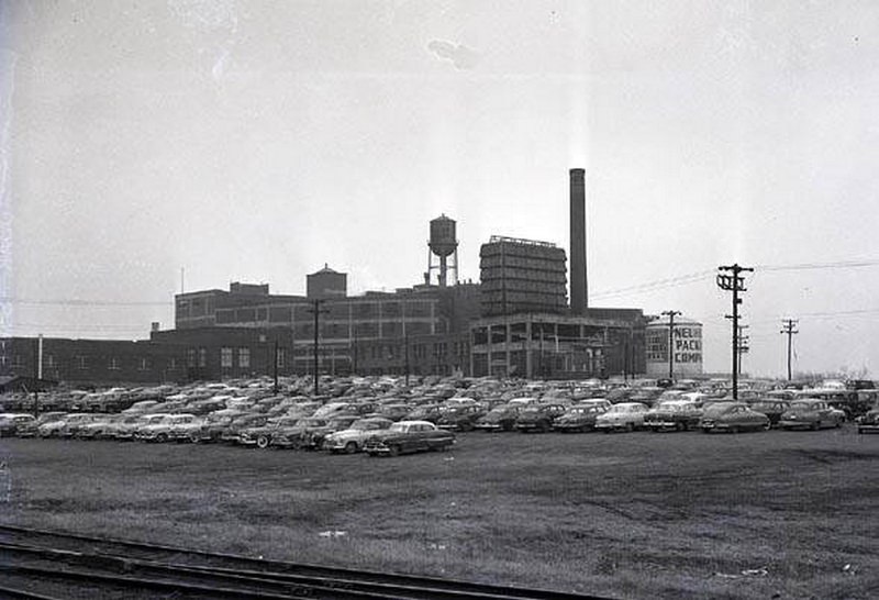 Nashville Business - Neuhoff Packing Company, 1951