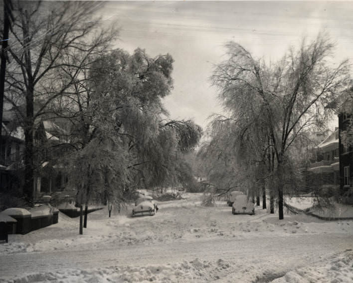 Photograph of Nashville ice storm, 1951
