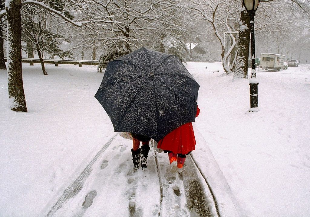 Two little girls with one big umbrella take a walk in Central Park during a snow storm.