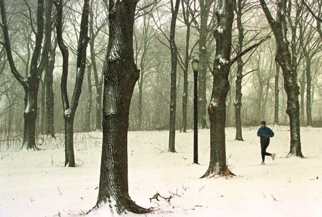 A jogger makes his through Pelham Bay Park in the Bronx March as another snowstorm hits the New York City area.