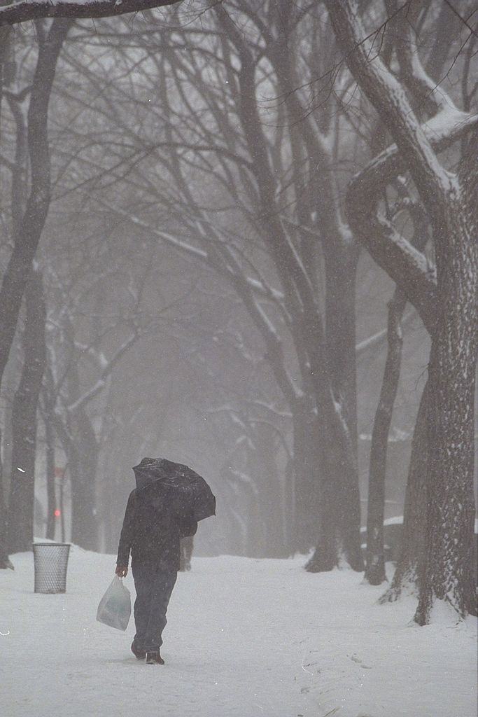 Pedestrian walks into a snow filled Central Park during a blizzard, New York City, 1996