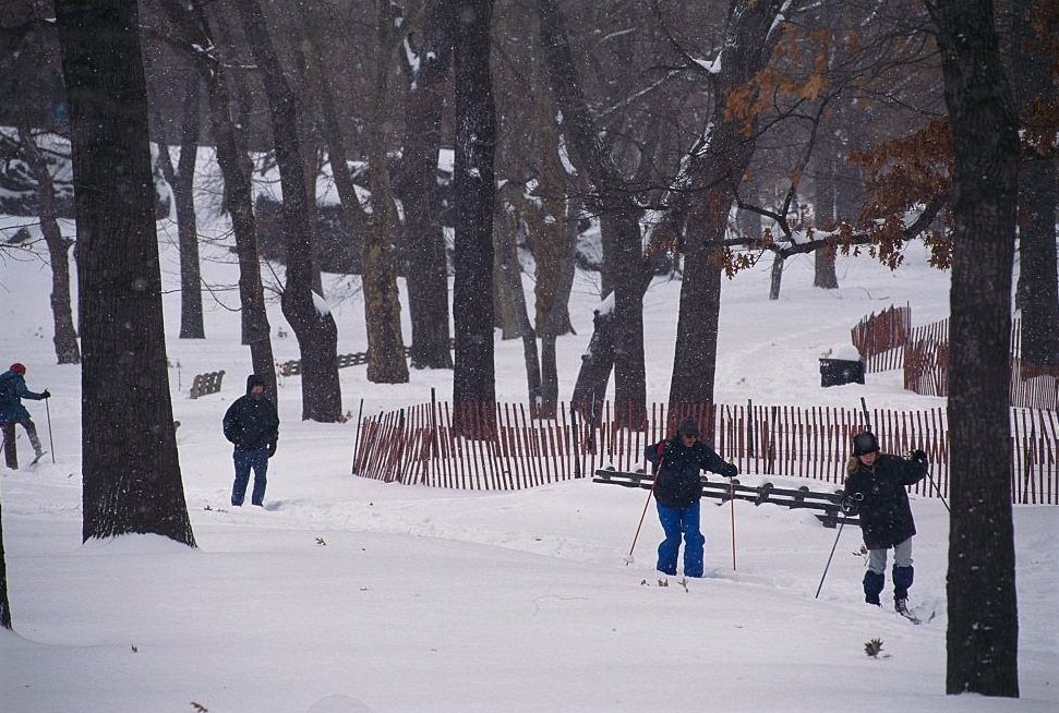 Skiing in Snow-Covered Park