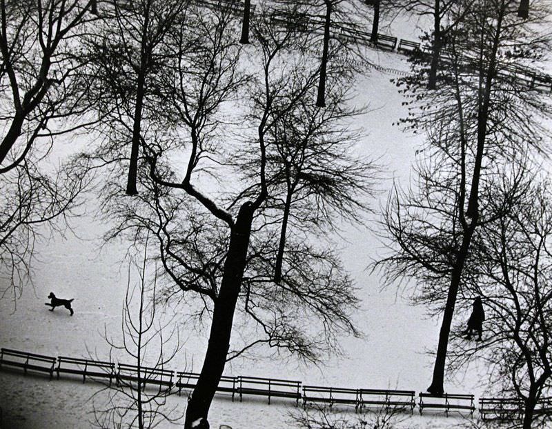 Washington Square day, 1954