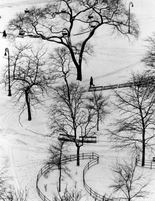 Washington Square day, 1954