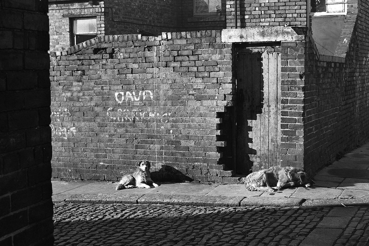 Byker back lane 1974