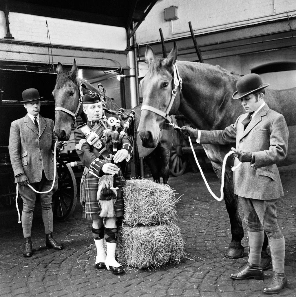 Bagpipes played to horses, 1970