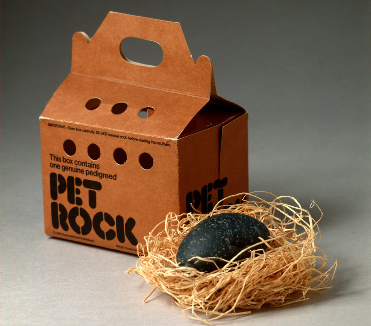 Each Pet Rock came in a cardboard carrying case, complete with air holes, tenderly nestled on a bed of excelsior.