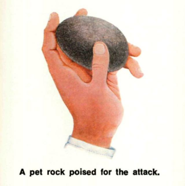 Pet Rock: A Short-Lived Ridiculous Trend that Peaked during the 1975 Holiday Season