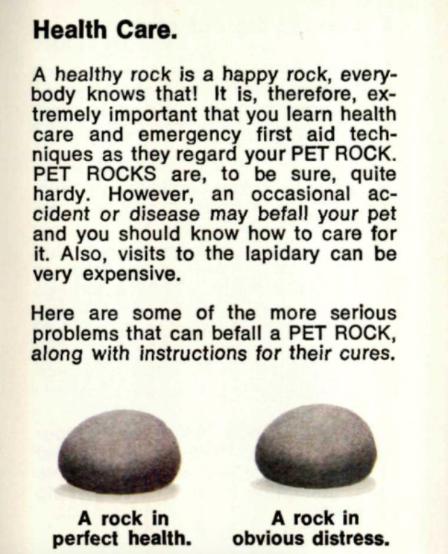 Pet Rock: A Short-Lived Ridiculous Trend that Peaked during the 1975 Holiday Season