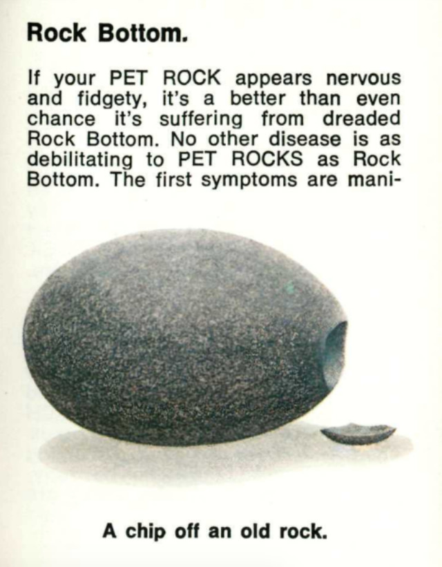 Pet Rock: A Short-Lived Ridiculous Trend that Peaked during the 1975 Holiday Season