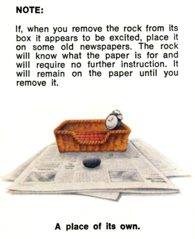 Pet Rock: A Short-Lived Ridiculous Trend that Peaked during the 1975 Holiday Season