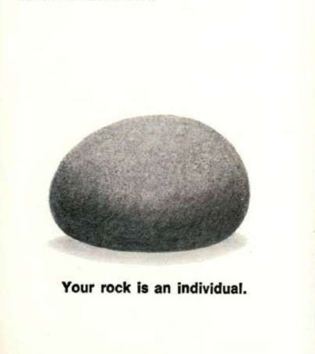 Pet Rock: A Short-Lived Ridiculous Trend that Peaked during the 1975 Holiday Season