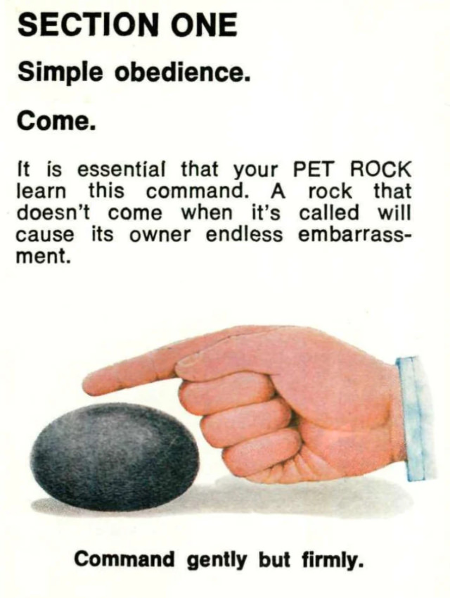 Pet Rock: A Short-Lived Ridiculous Trend that Peaked during the 1975 Holiday Season