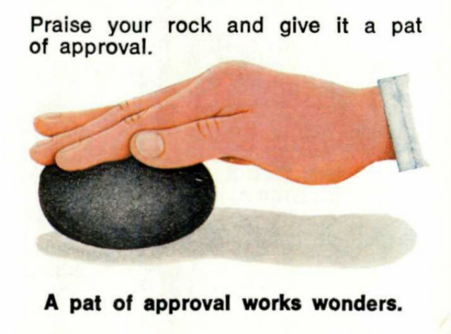 Pet Rock: A Short-Lived Ridiculous Trend that Peaked during the 1975 Holiday Season