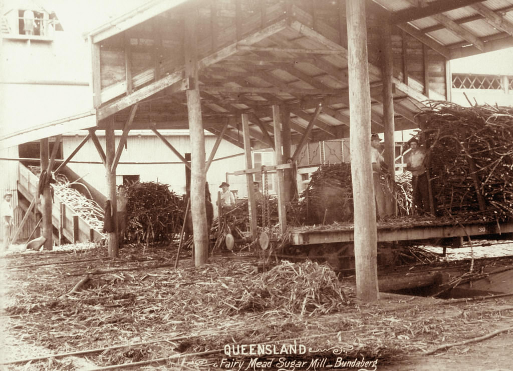 Fairy Mead Sugar Mill, Bundaberg, 1896