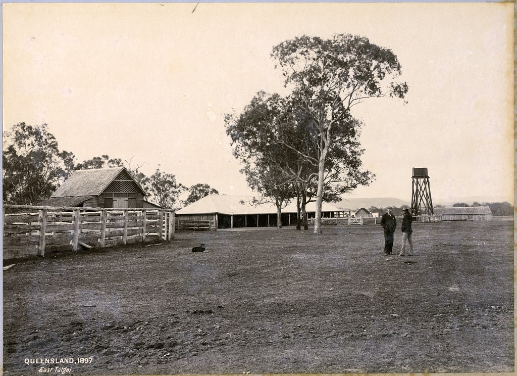 Homestead and yards of East Talgai