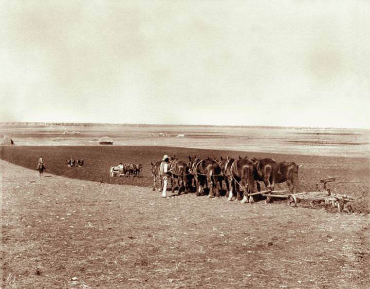 Six furrow plough, two horse driller, and four horse harrow at Green Hills Farm near Warwick, 4 May 1894
