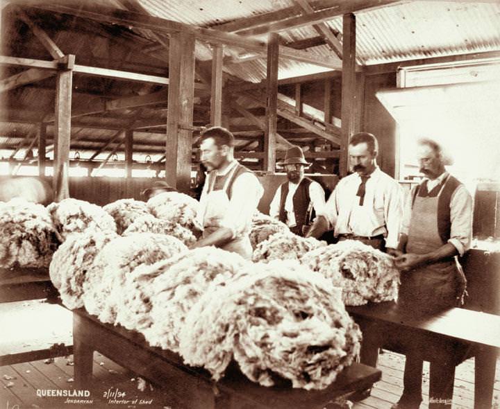 Interior of wool shed, Jondaryan, 2 November 1894