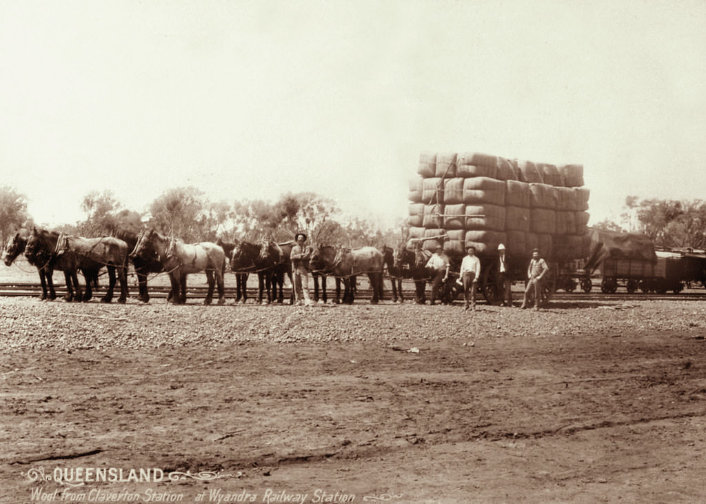 Wool bales from Claverton Station at Wyandra Railway Station, 1897