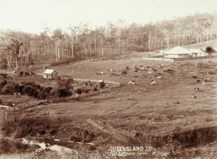 Lofgren's Farm at Mount Crosby, 1898