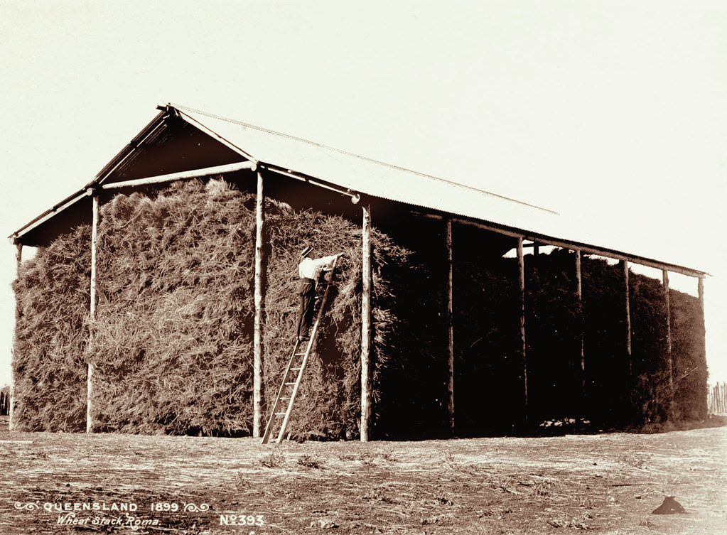 Wheat Stack, Roma, 1898